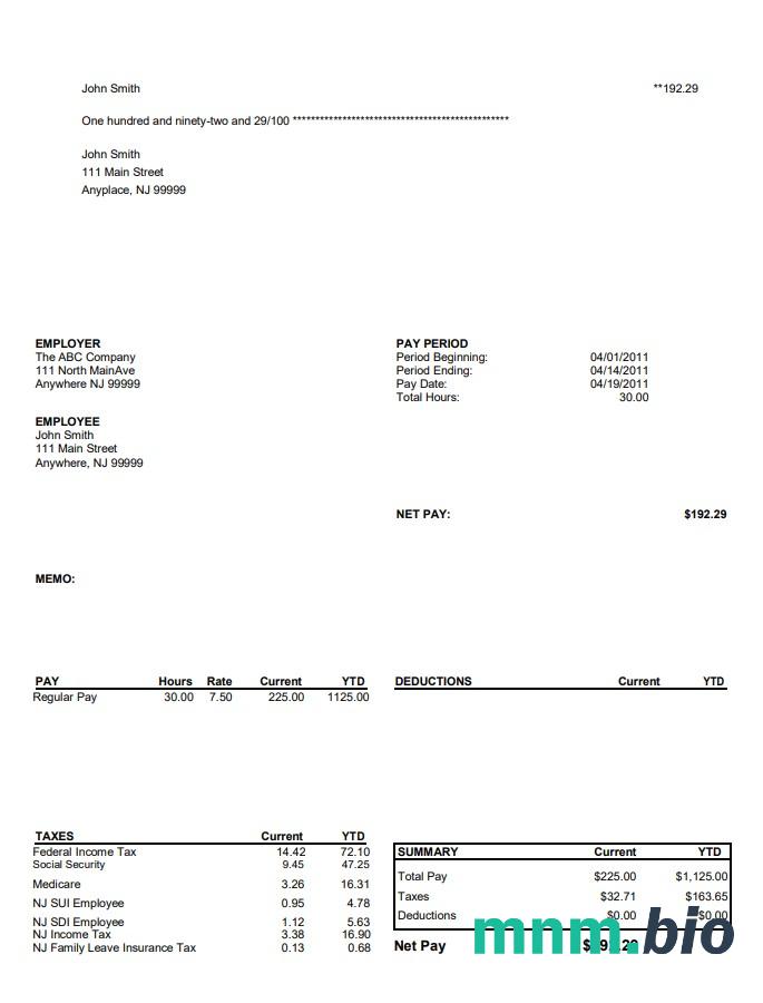 North Main Avenue Pay Stub Template
